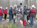 2013-04-04 10-35-34 Bois de Meudon Matin MDe